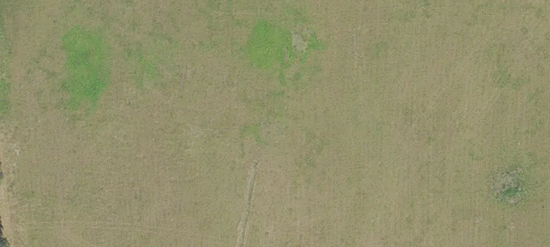 Newberry, FL 32669