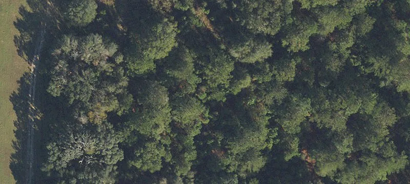 Alachua, FL 32615