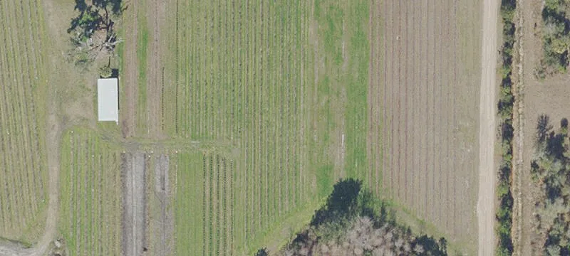Hawthorne, FL 32640