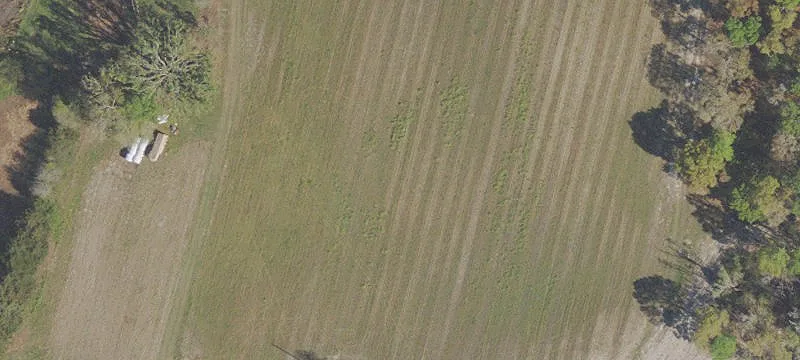 Bonifay, FL 32425