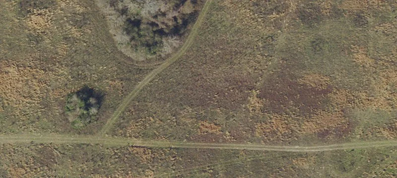 Bonifay, FL 32425