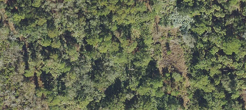 Cocoa, FL 32926
