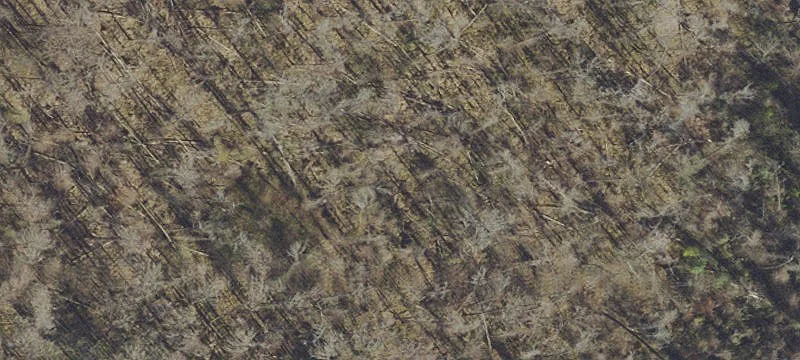 Bristol, FL 32321
