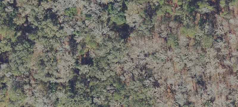 Micanopy, FL 32667