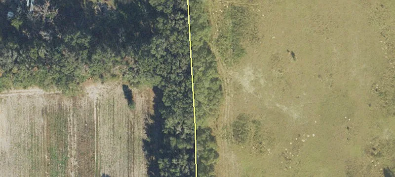 Archer, FL 32618