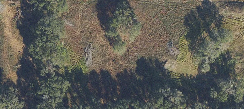 Archer, FL 32618