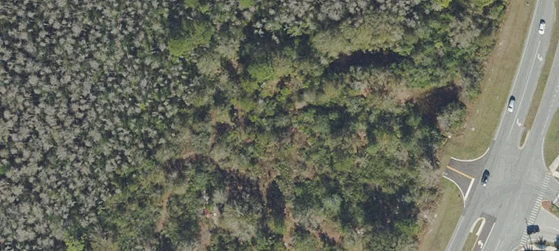 Wesley Chapel, FL 33544