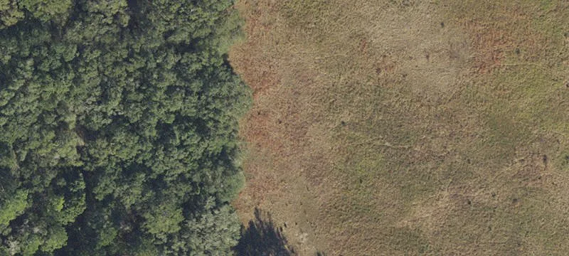Live Oak, FL 32060