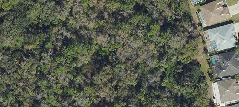 Holiday, FL 34691