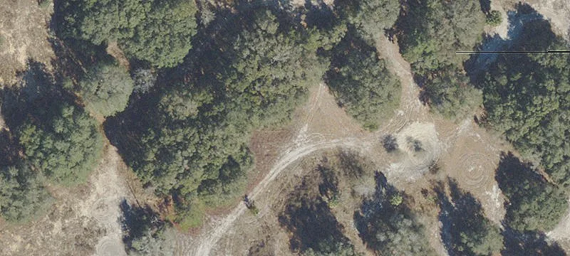 Ocklawaha, FL 32179
