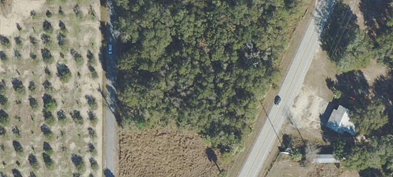 Weirsdale, FL 32195