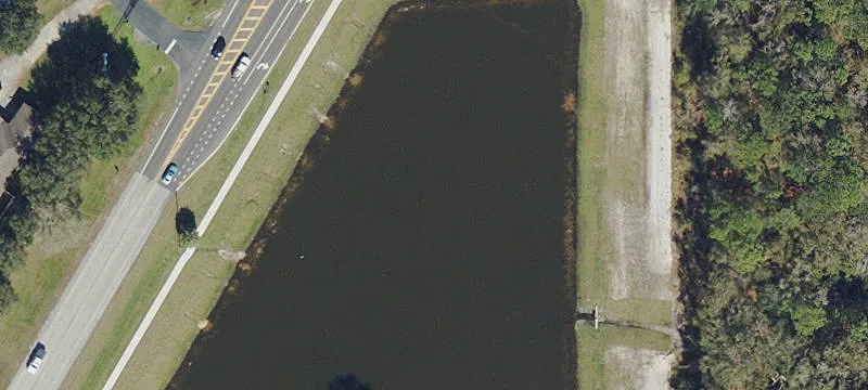 Lutz, FL 33559