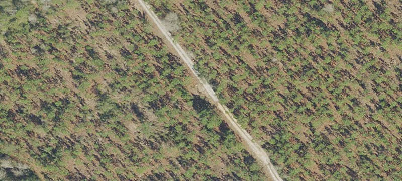 2401 Jacks Br Rd