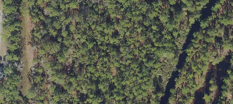 Bunnell, FL 32110