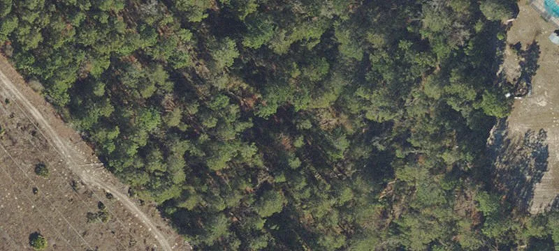 Ocala, FL 34473