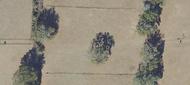 Reddick, FL 32686