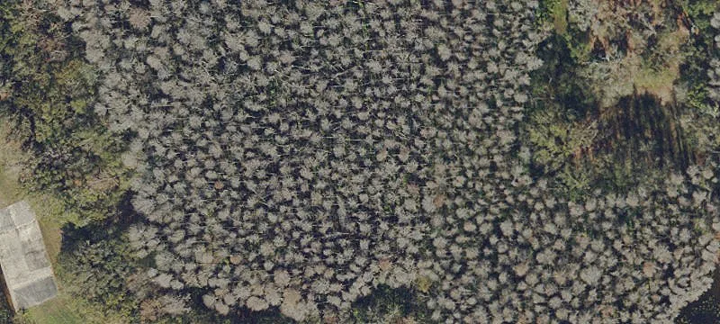 Land O