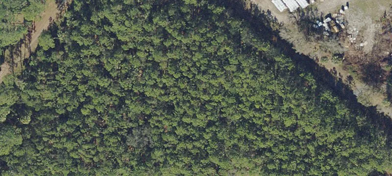 Bunnell, FL 32110
