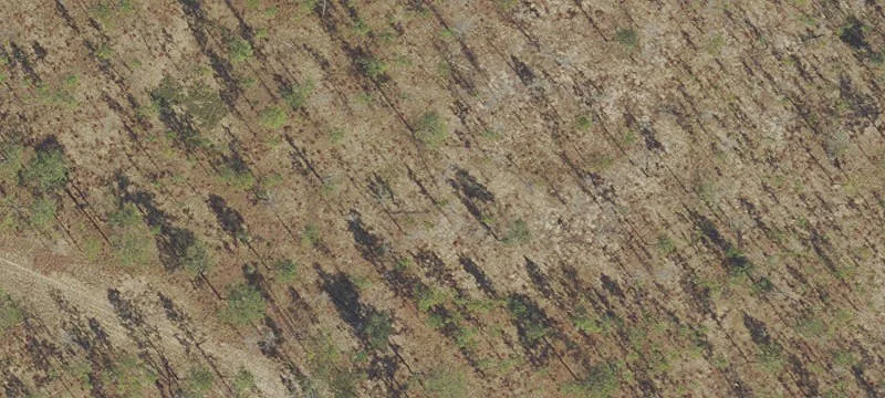 Bristol, FL 32321