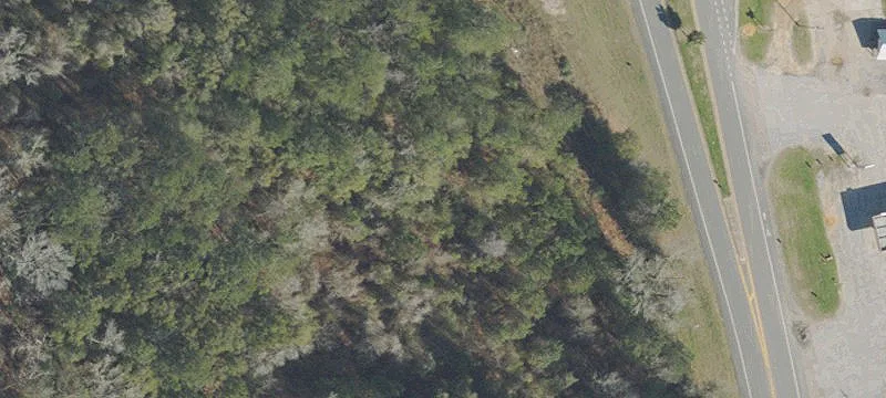 Ponce De Leon, FL 32455