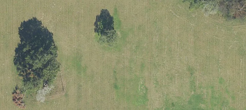 Newberry, FL 32669