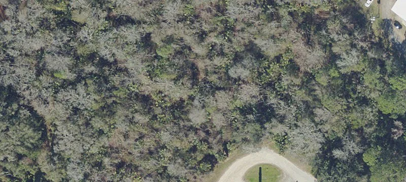 Bunnell, FL 32110