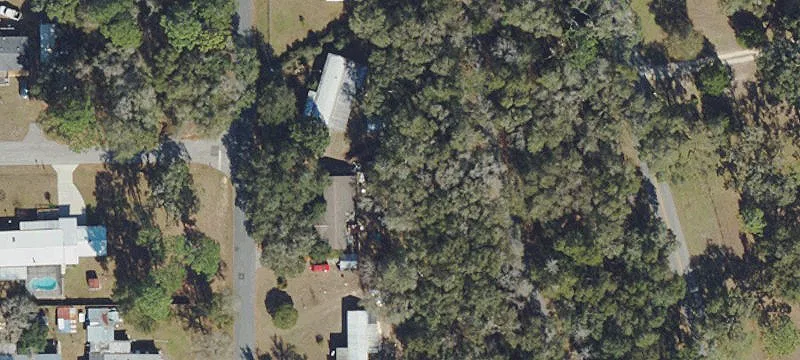 Starfish Ave
