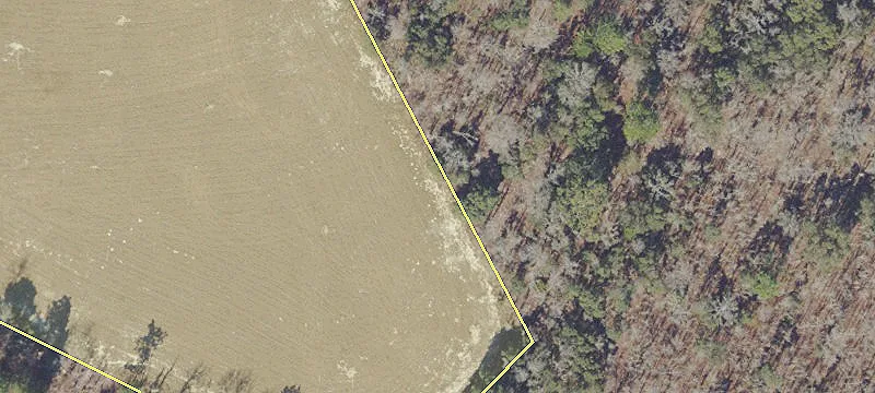 Dunnellon, FL 34432