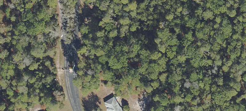 Silver Springs, FL 34488