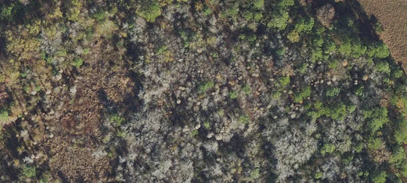 Jasper, FL 32052