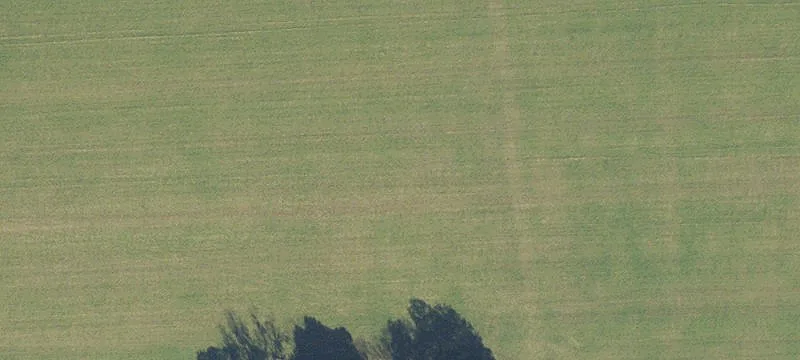 Alachua, FL 32615