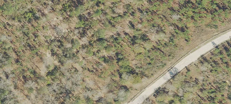 2801 Jacks Br Rd
