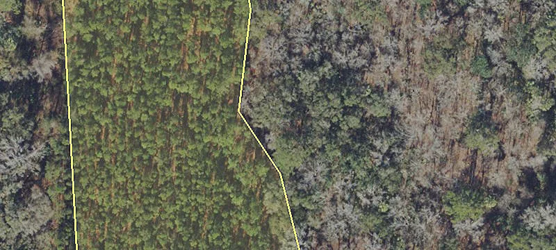 Micanopy, FL 32667