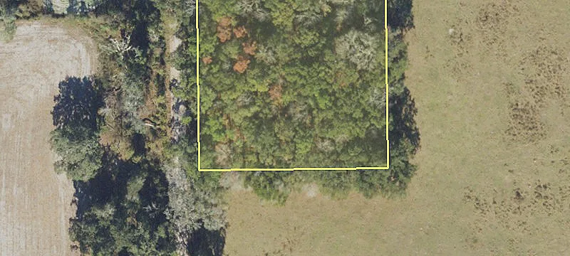 Live Oak, FL 32060