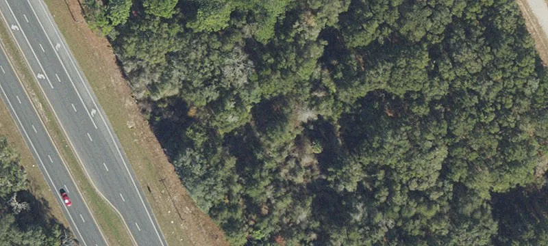 Trenton, FL 32693