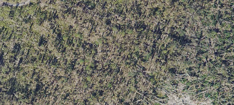 Bokeelia, FL 33922