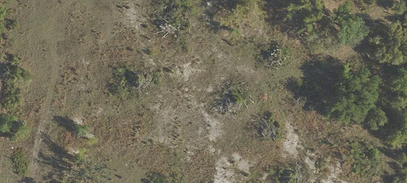 3649 Hwy 390