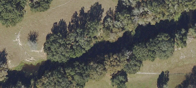 Webster, FL 33597