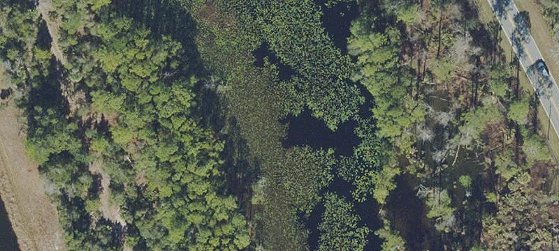 Palm Coast, FL 32137