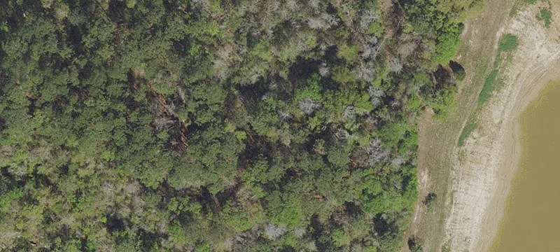 Graceville, FL 32440
