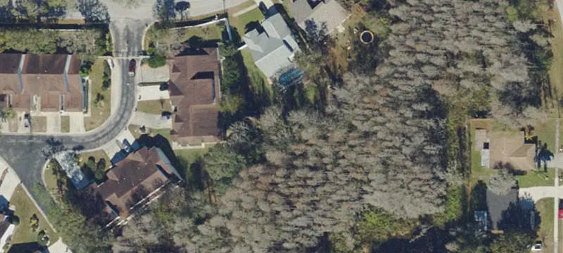 Lutz, FL 33549