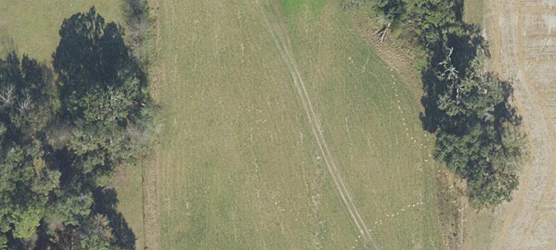 Newberry, FL 32669