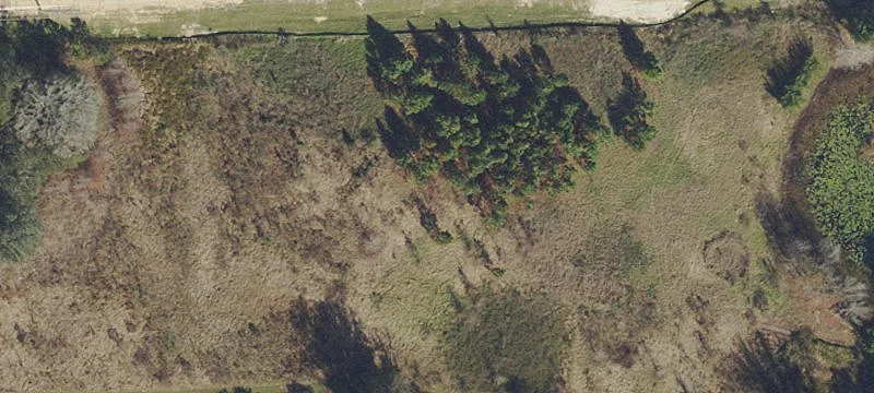 Dade City, FL 33525