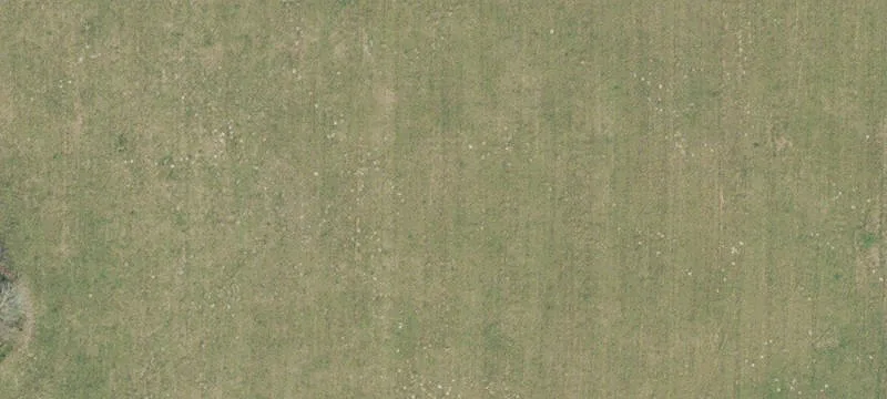 Newberry, FL 32669
