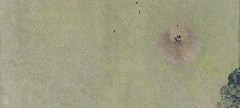 Hawthorne, FL 32640