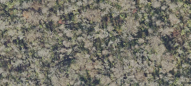 Longwood, FL 32779