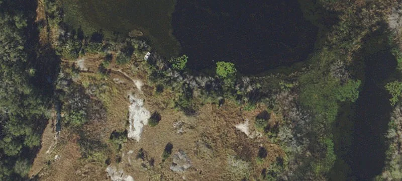 Zephyrhills, FL 33542