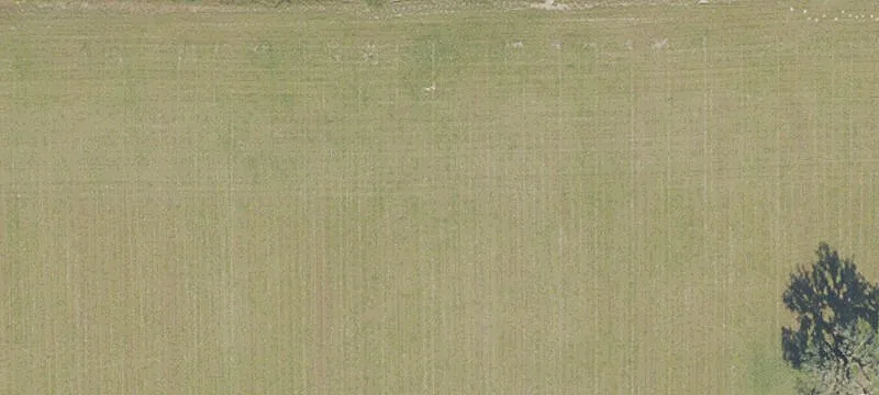 Newberry, FL 32669