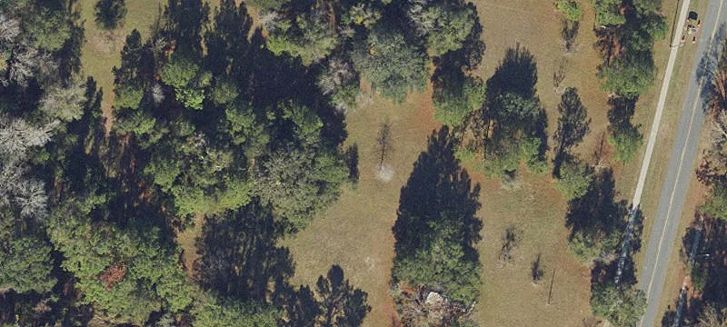 Wellborn, FL 32094
