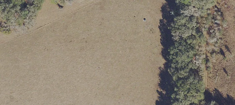Alachua, FL 32615